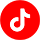 TikTok Logo